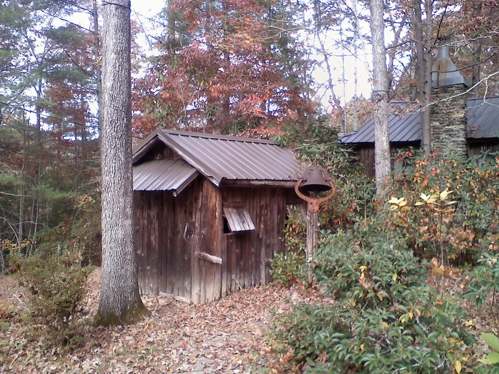 Small metal roof on a rough sawn shed in the woods in Damon