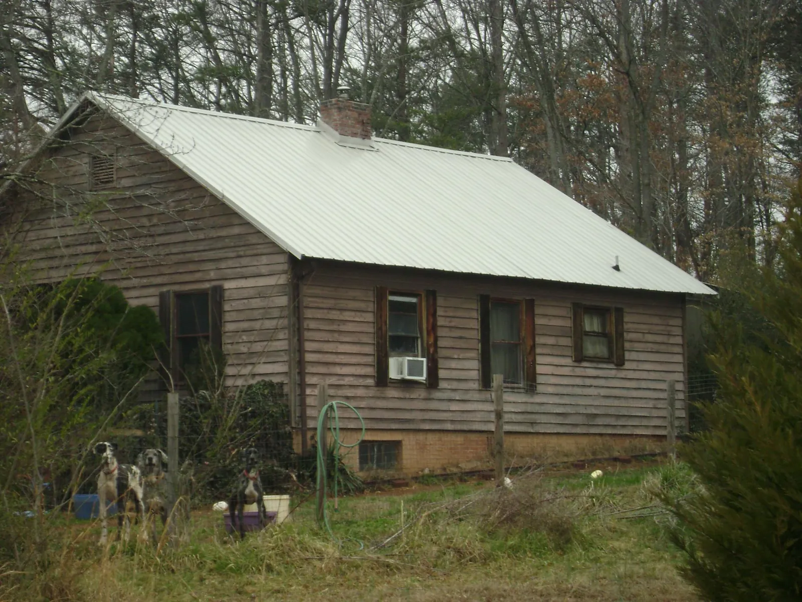 White metal roof on an old wood sided farmhouse, from a Asphalt Shingle Roof Repair job in Damon